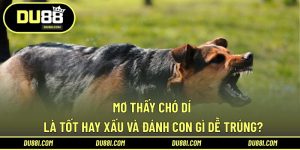 mơ thấy chó dí